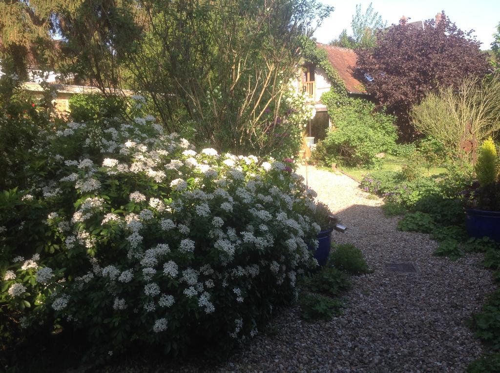Au Fond Du Jardin Maison D'Hotes Saint-Saëns Exterior foto
